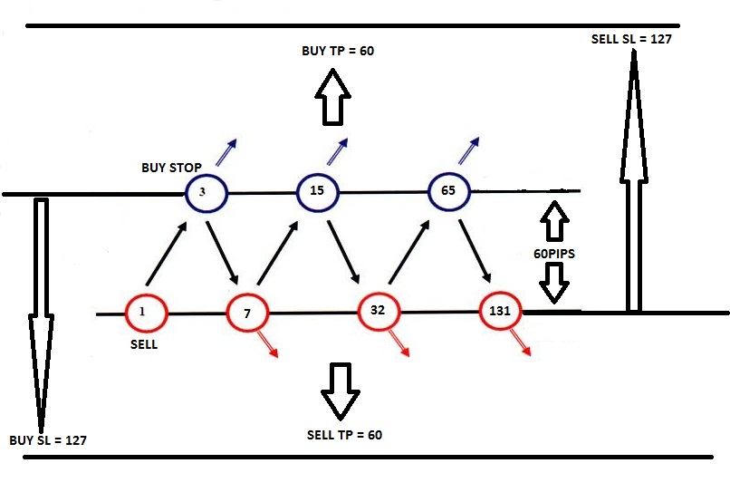 hedge profit forex