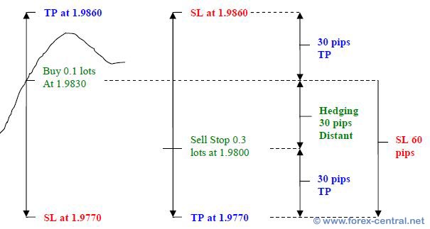 hedging strategy forex