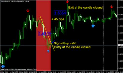 cara main forex agar selalu profit