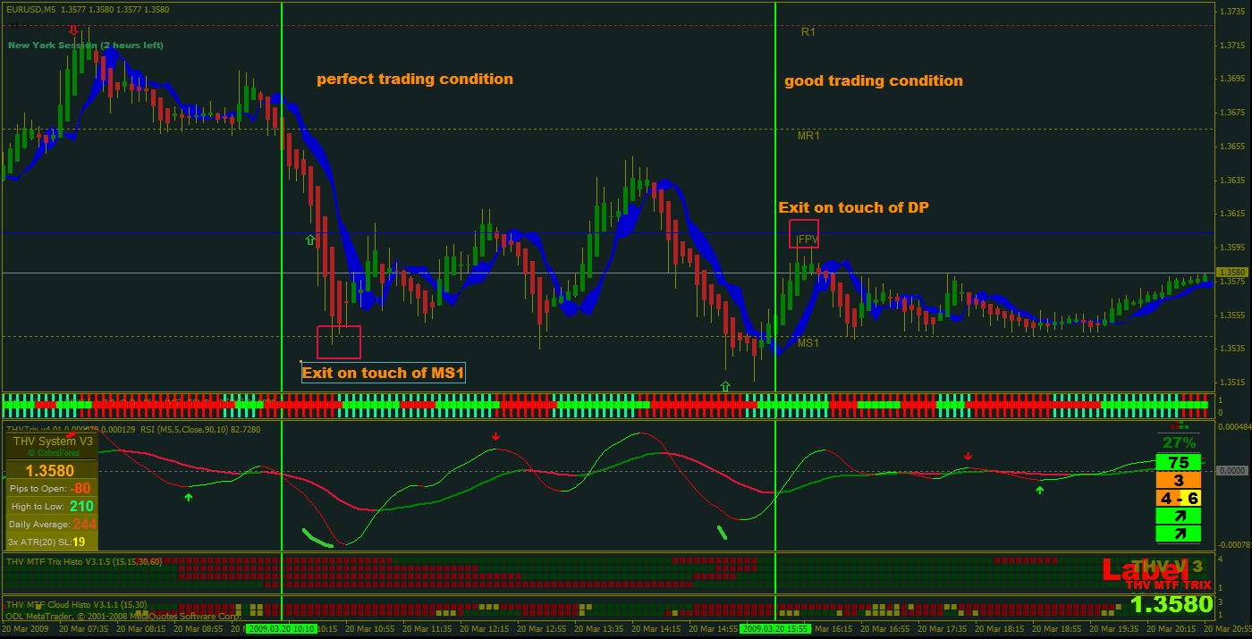 t3 options trading