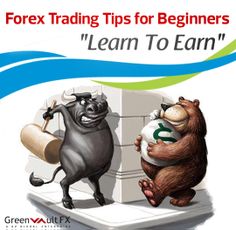 forex trading tips live