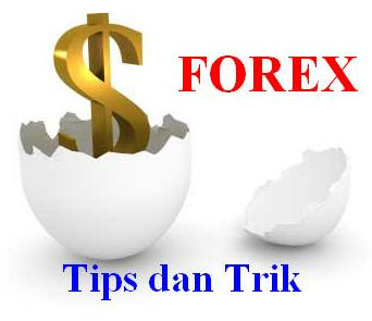 forex trading tips today
