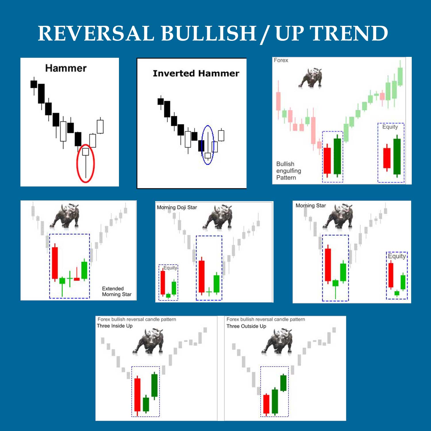Forex Candlestick Basics Knowledge That Made Trading Easy