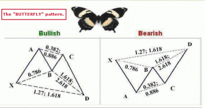butterfly pattern